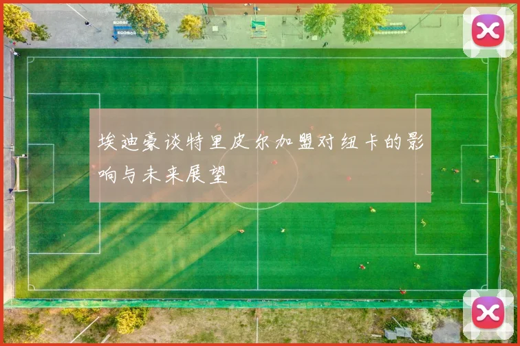 埃迪豪谈特里皮尔加盟对纽卡的影响与未来展望