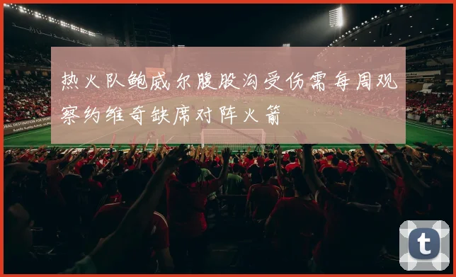 热火队鲍威尔腹股沟受伤需每周观察约维奇缺席对阵火箭