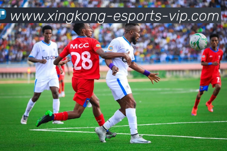 App Interface Preview